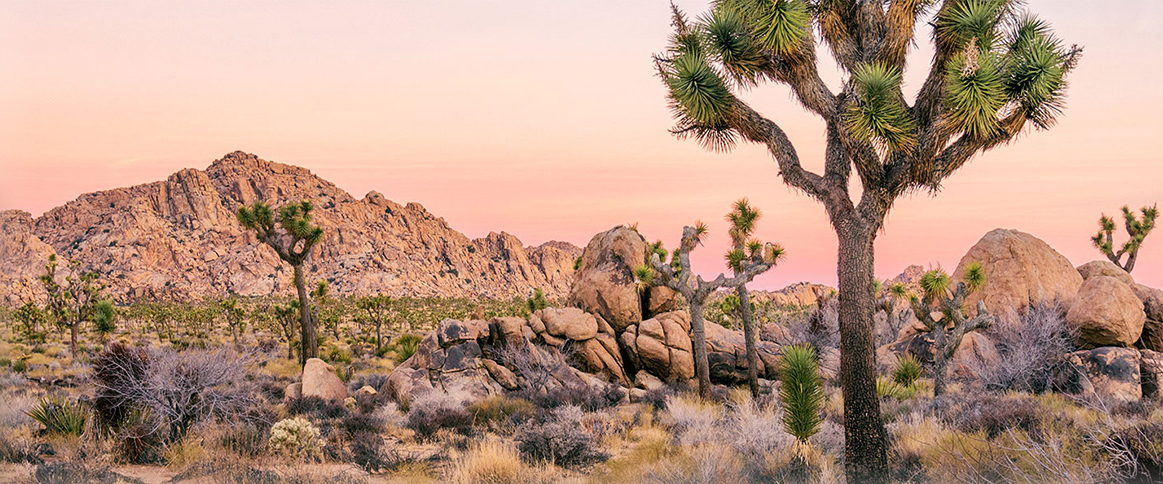 RiversideCounty_WEB_1440px_610px_FadetoColors_Blur.jpg