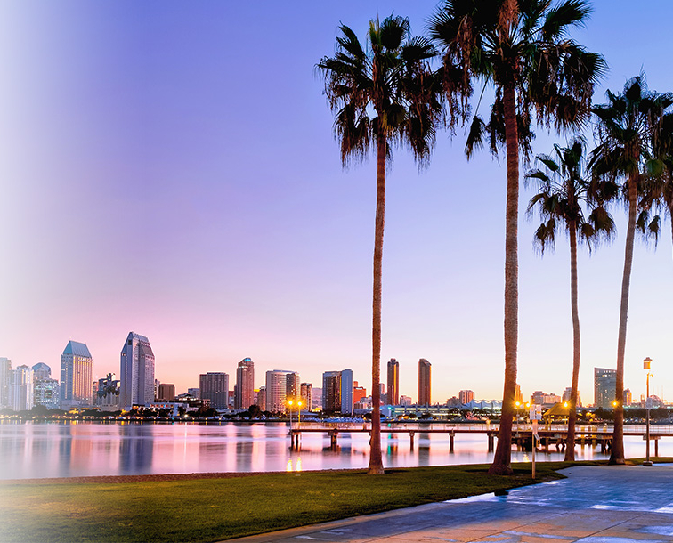 SDCountyPalmTrees_WEB_1440px_610px_FadetoColors_Blur.jpg
