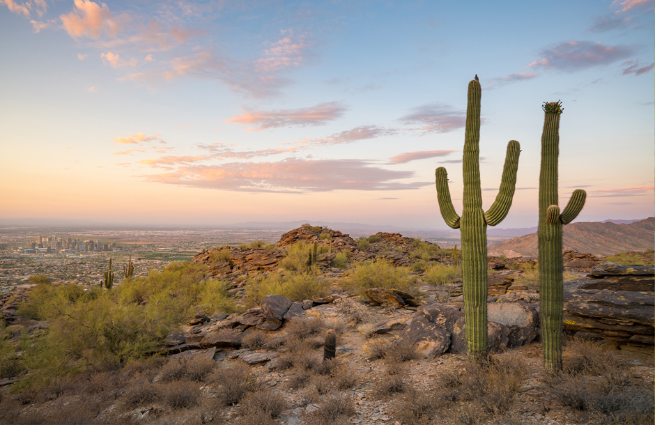Maricopa_WEB_1440px_610px.jpg