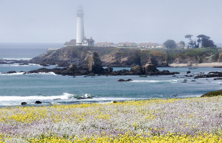 SanMateo_WEB_1440px_610px.jpg