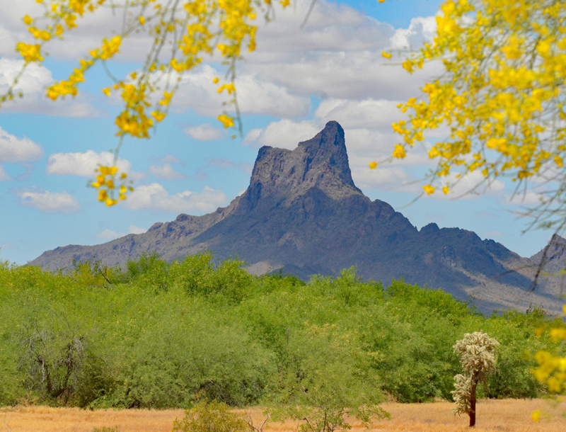 Pima_WEB_1440px_610px.jpg
