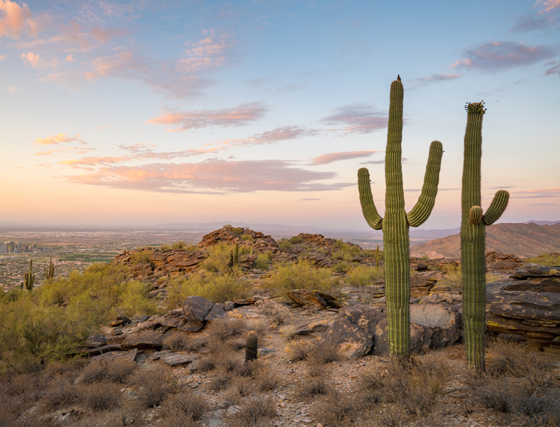 Maricopa_WEB_1440px_610px.jpg