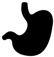 Icon of human stomach.
